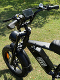 Coogee Cruiser - Coogee Bikes
