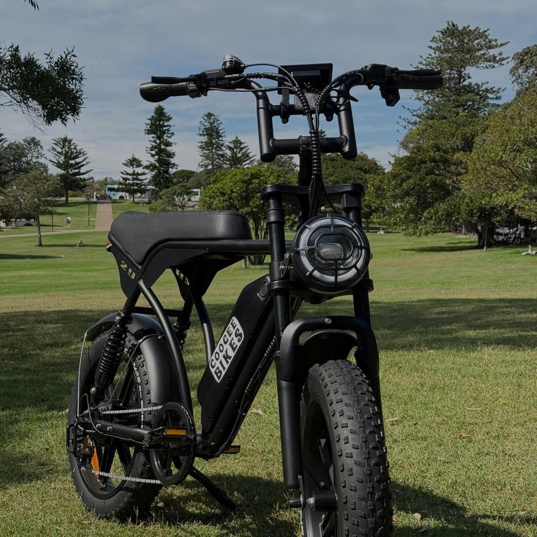 Cruiser